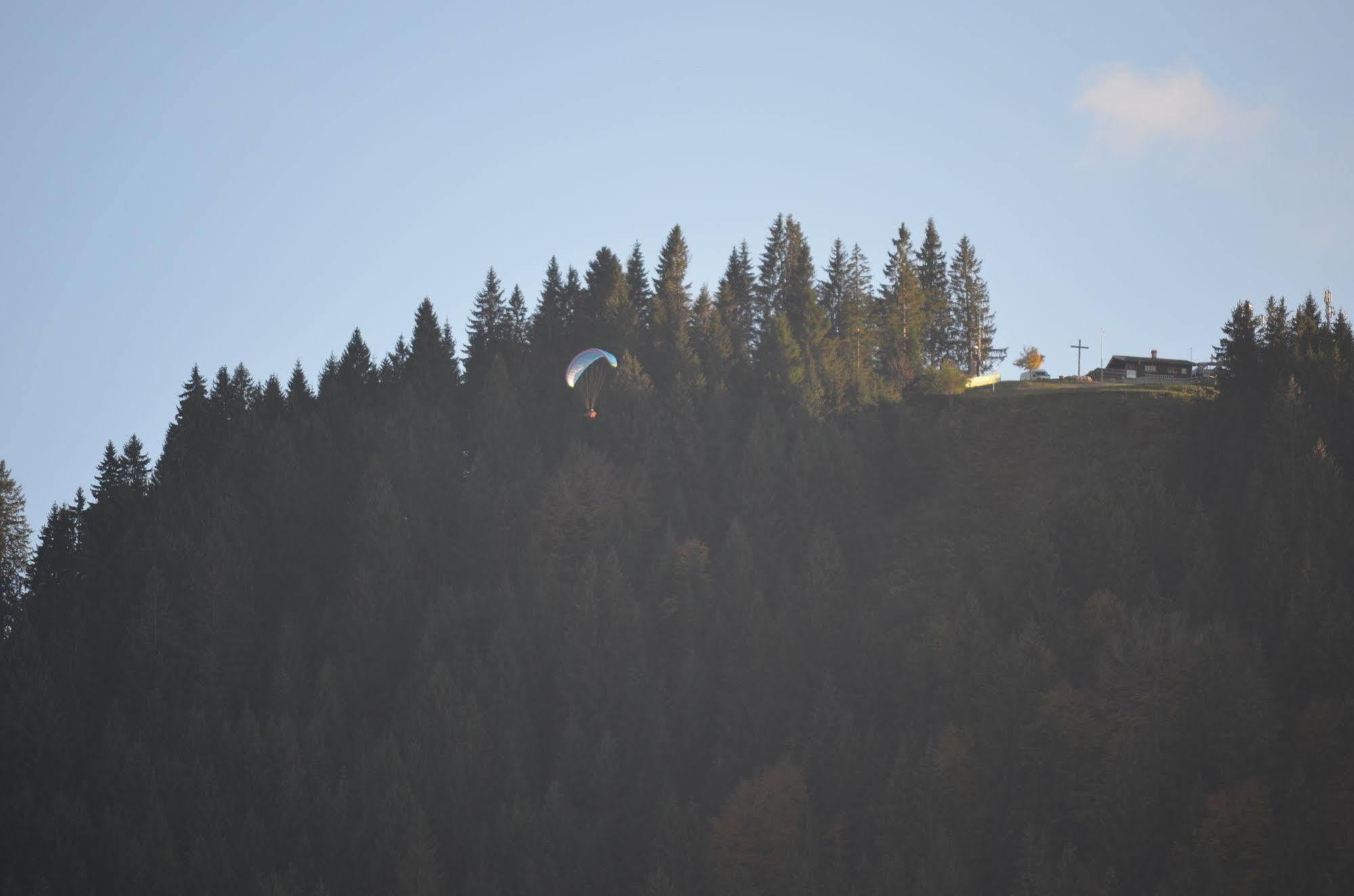 Alpchalet Schwanstein Халблех Екстериор снимка
